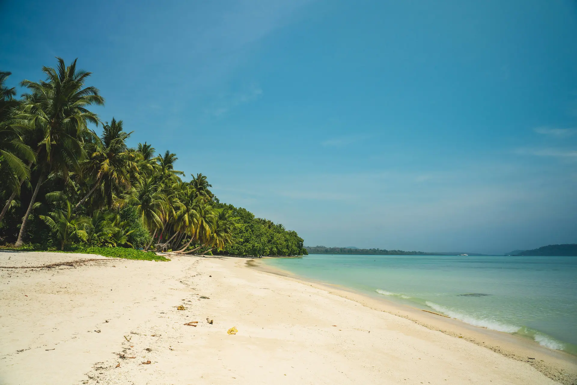 Andaman Islands tour packages - Experience pristine beaches, crystal clear waters and tropical paradise with Tropical Andamans